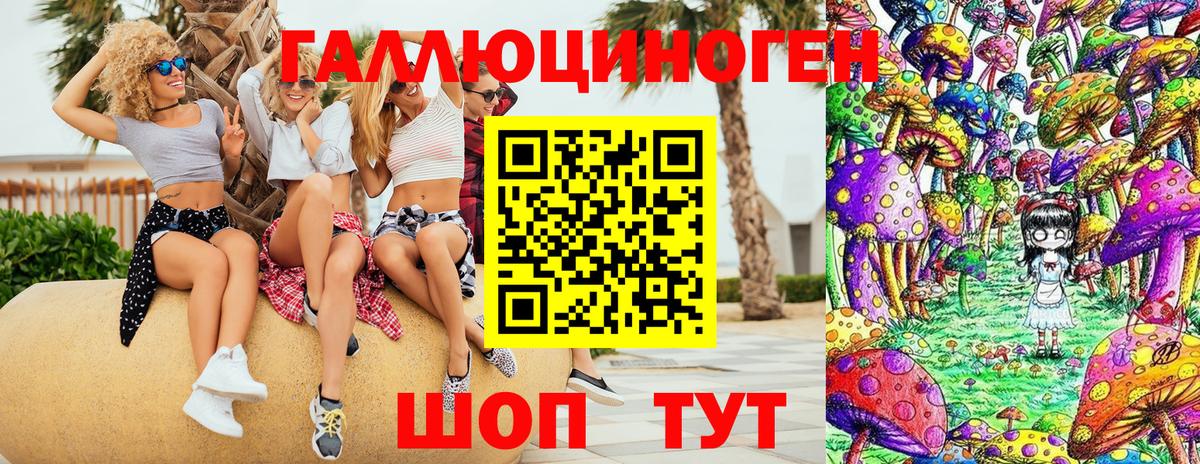 Псилоцибиновые грибы мицелий  Вход с VPN  Усть-Джегута 