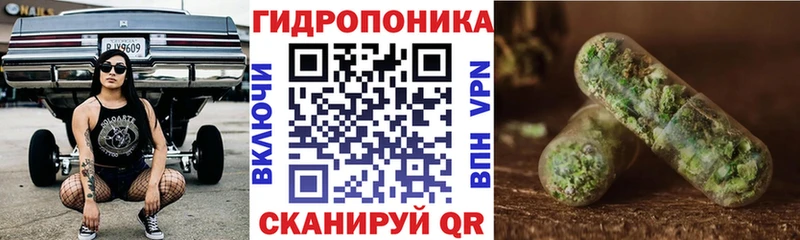 Конопля индика  omg ссылки  Усть-Джегута 